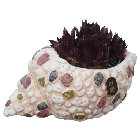 <h4>PTS7483 Arrangement Sempervivum in terracotta pot</h4>