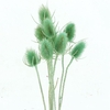 Dried Echinops Bleached Light Green P Bnch