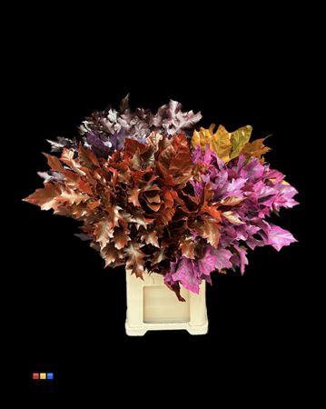 <h4>Quercus Klb Mix 80cm GK</h4>