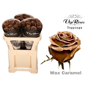 R Gr Wax Caramel X30