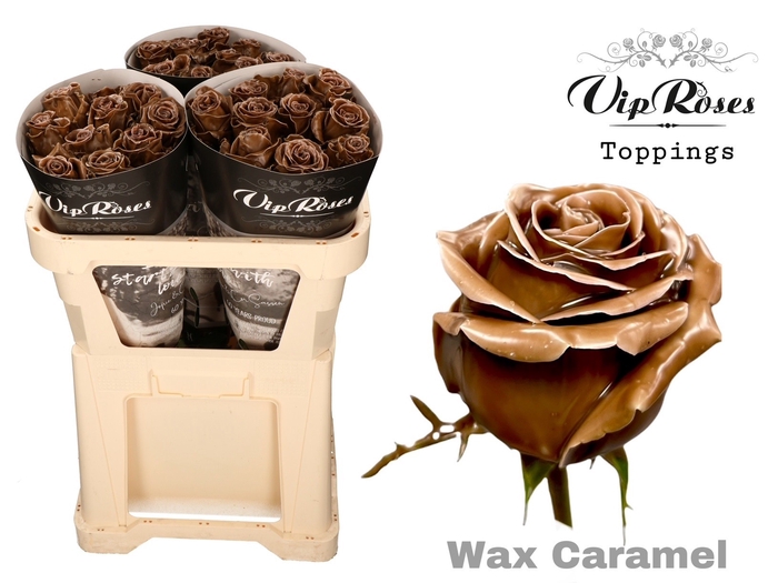 <h4>R Gr Wax Caramel X30</h4>