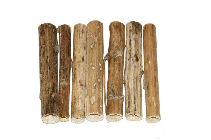 <h4>Zonnebloemstelen 20 cm naturel16 st</h4>