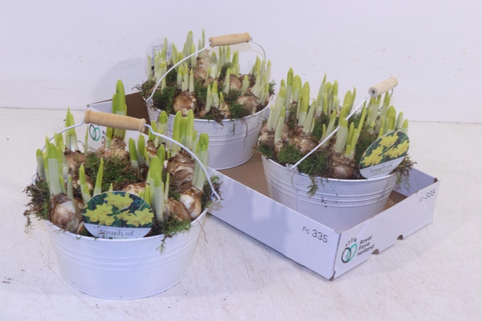 <h4>ARR N TETE A TETE</h4>