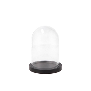 Bell Jar On Plateau Black 12x16cm