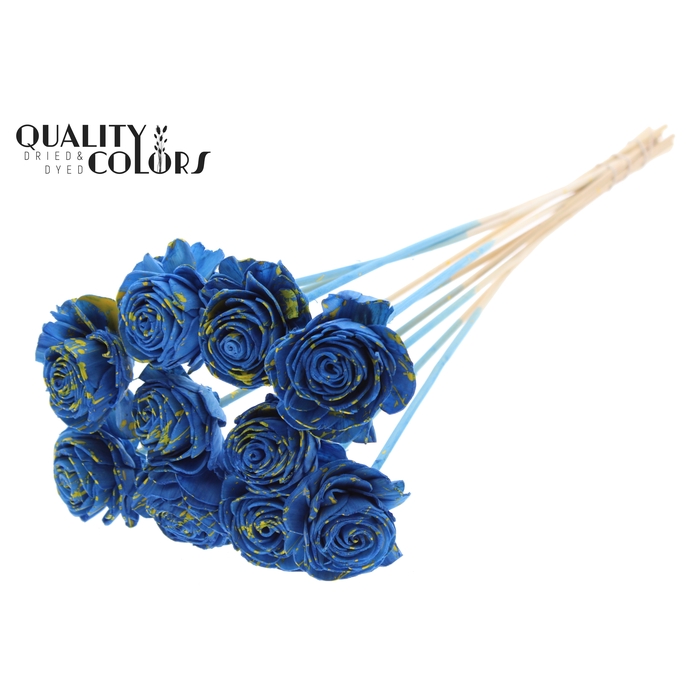 <h4>Shola Beauty Rose 6cm on stem Splashed Blue/Yellow</h4>