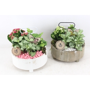 arr2 PL - Etagere rond - roze/wit