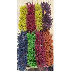 CALLU KLB MIXK H%