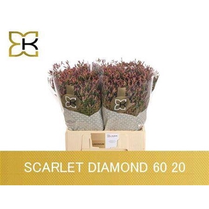 Lim Sin Scarlet Diamond