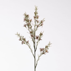 AF Wax Flower L69cm Cream