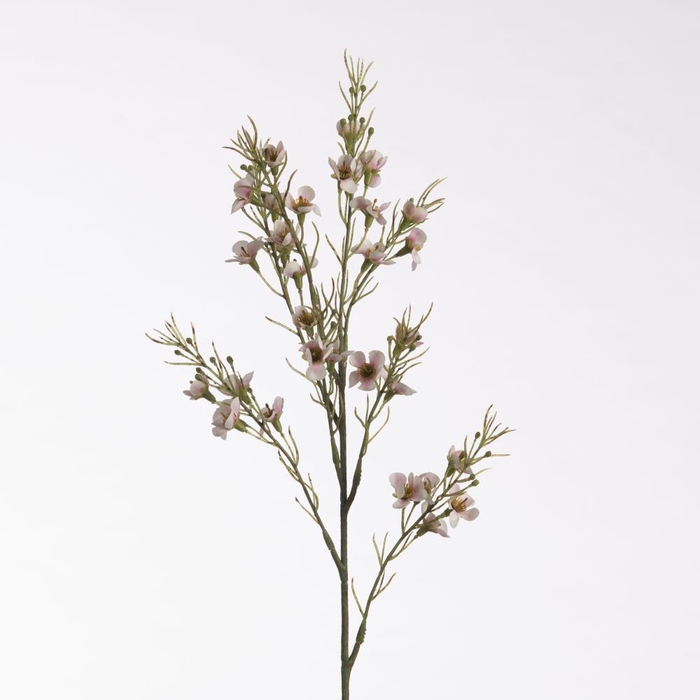 <h4>AF Wax Flower L69cm Cream</h4>