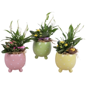 Easter Arr. Indoor Ceramic Ball Pot Dots Ø14cm 2PP