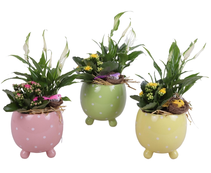 <h4>Easter Arr. Indoor Ceramic Ball Pot Dots Ø14cm 2PP</h4>