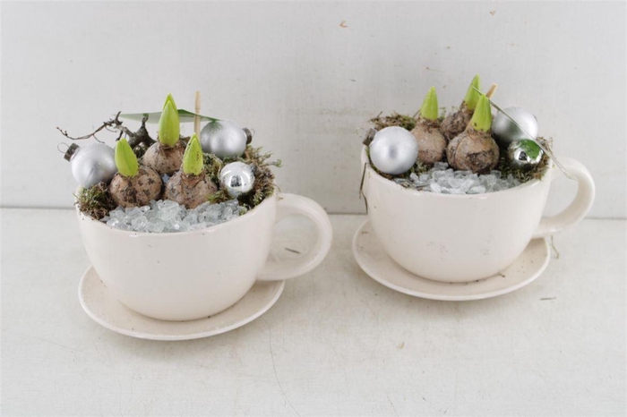 <h4>Arr4 Hyacint Mb271 - Kop & Schotel</h4>