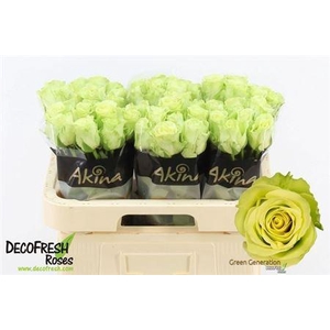 R Gr Green Generatio