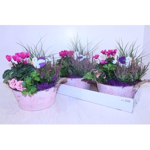ARR TUINPLANTEN