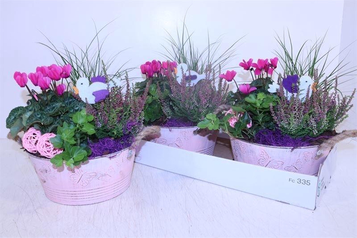 <h4>ARR TUINPLANTEN</h4>