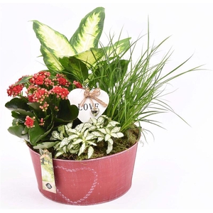 Zink schaal rood met hart 20cm