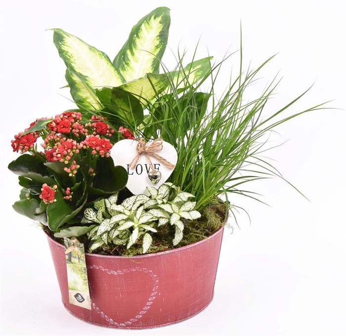 <h4>Zink schaal rood met hart 20cm</h4>