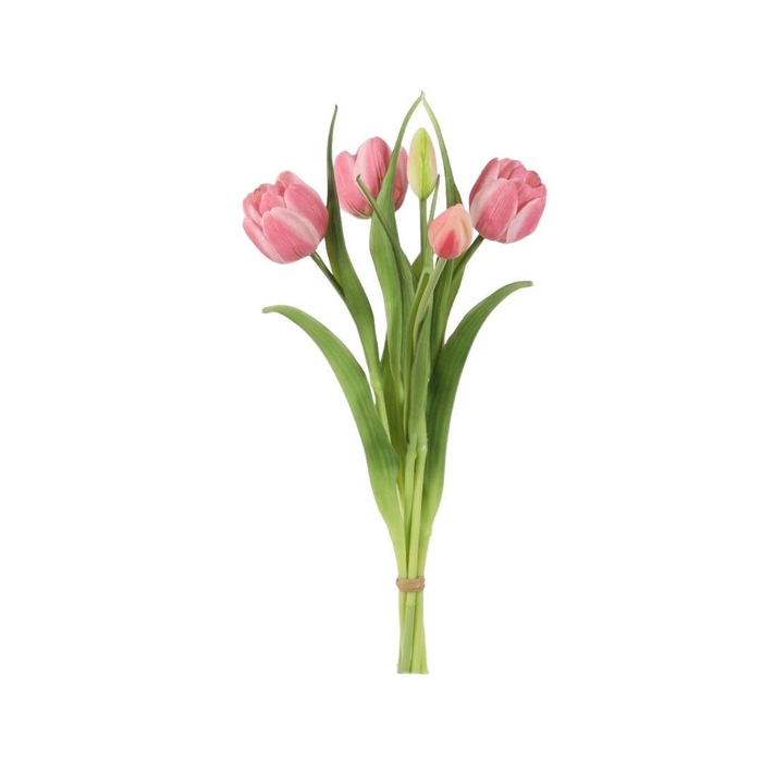 <h4>Tulipa boeket 43cm x5</h4>