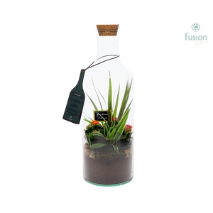 Green Bottle Fles Medium Grootmoederdag met arrangement