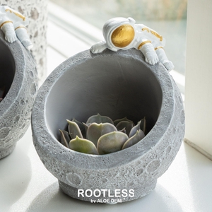 ROOTLESS Echeveria mix, Martian