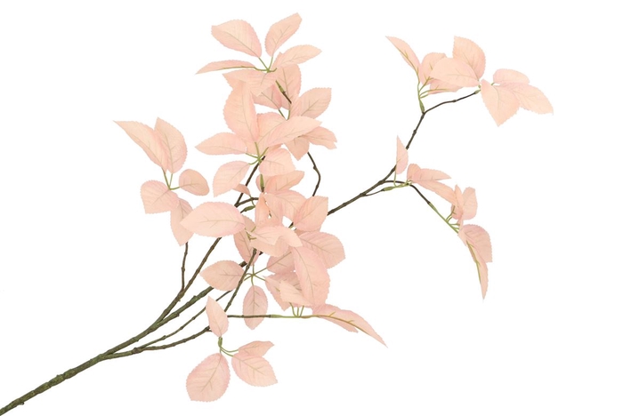 Silk Leaf Elder Champagne 124cm