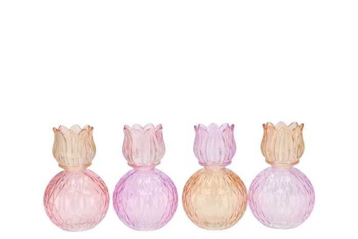 <h4>Bicolore Dreamy Pastel Mix Tulip T-light Ass 11x17cm</h4>