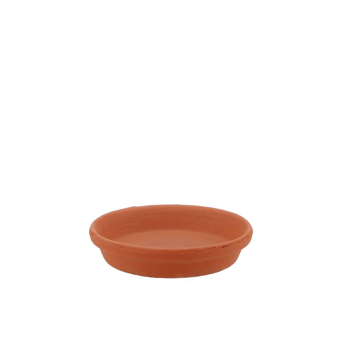 <h4>Terracotta Waterdish D11cm Nm</h4>