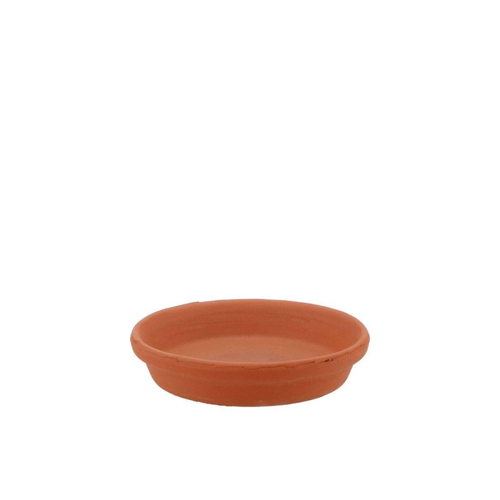 <h4>Terracotta Waterdish D11cm Nm</h4>