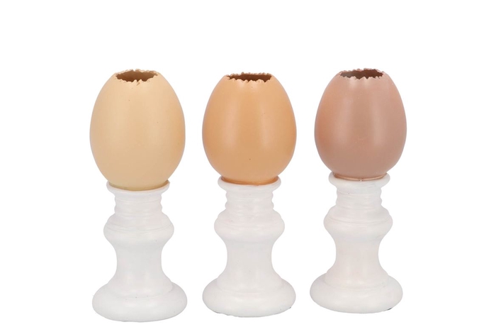 <h4>Easter Egg Trophy Natural Brown Mix Vase Ass 6x6x13cm</h4>