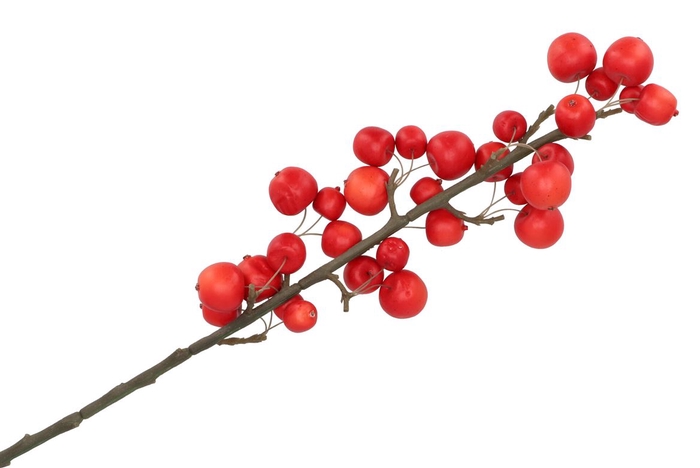 <h4>Silk Apple Sentinel Red 66cm Nm</h4>