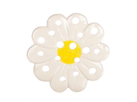 Daisy Arranging H0.8D15