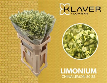 <h4>Lim Sin China Lemon</h4>