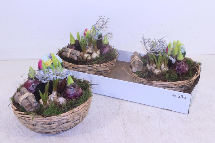 <h4>ARR BOL KNOLGEWAS</h4>