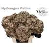 HYDR M PATINA L 60 CM