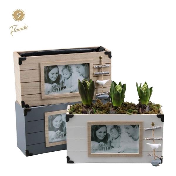 <h4>(3905) Hyacint Photo Booth 3PP Mos</h4>