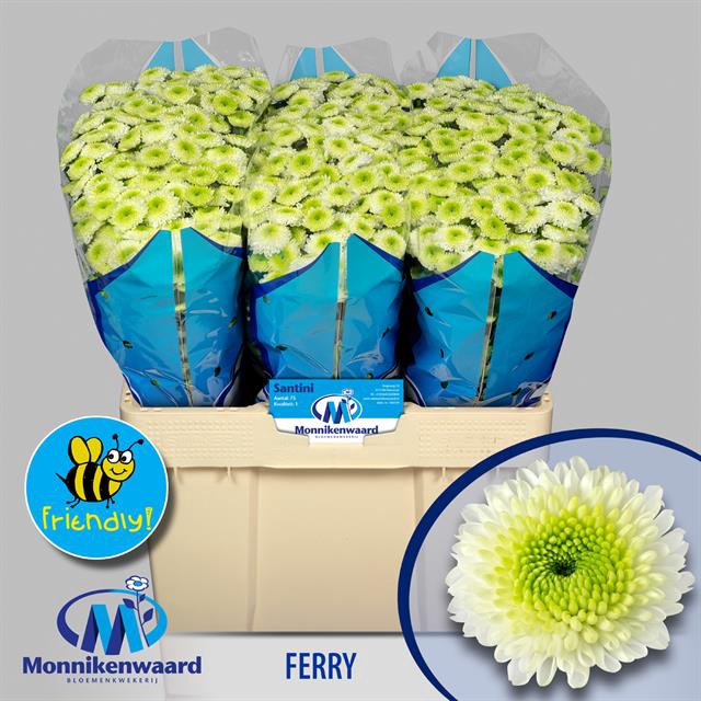 CHR SAN FERRY