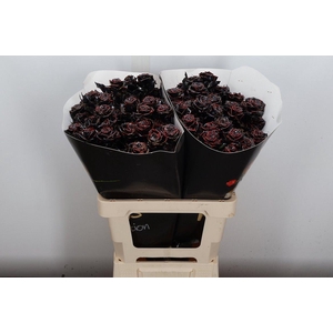 R Tr Wx Flaming Black Xl