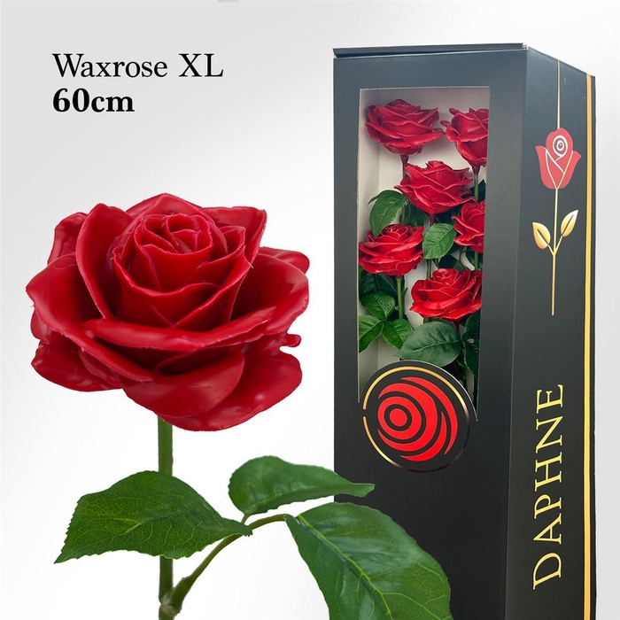 <h4>Wax Rose Xl Red 60cm</h4>