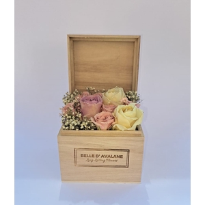 Wooden box Medium