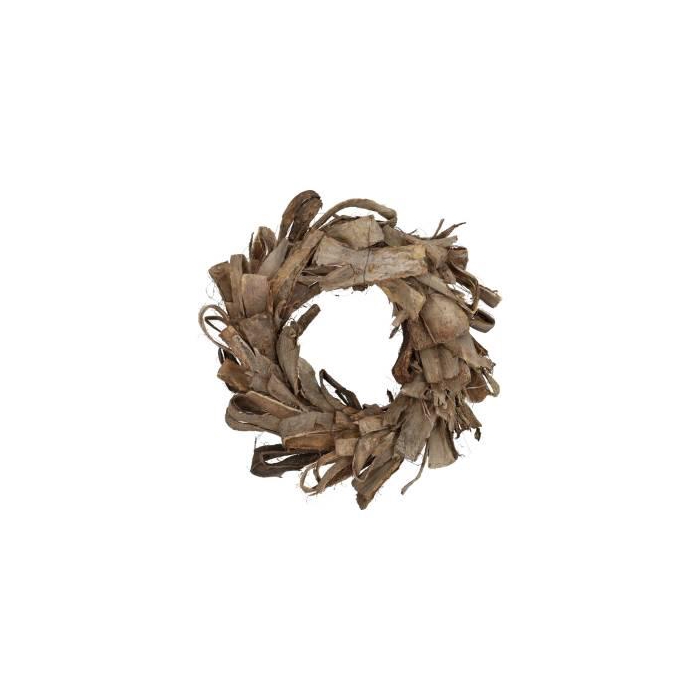 <h4>Wreath Agave D40</h4>