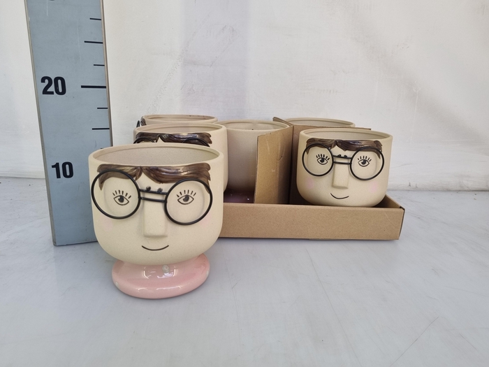 <h4>HUIS EN TUINDECO H%</h4>