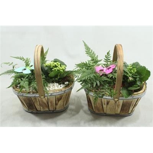 5856 HOUT BOOT HENGSEL