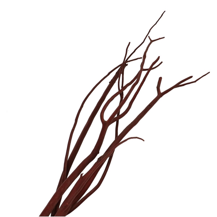 <h4>Dried articles Mitsumata flock 115cm x3</h4>