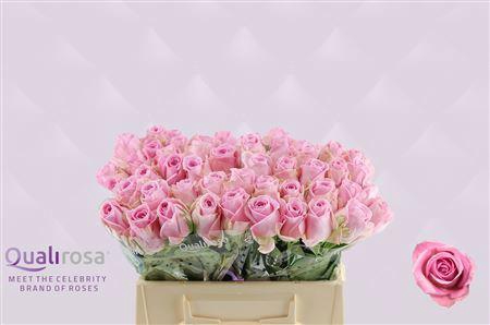 <h4>R GR HEIDI!</h4>