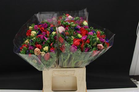 <h4>Anem Extra Mix</h4>