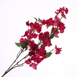 Bougainvillea Spray Beauty FL440279BEA