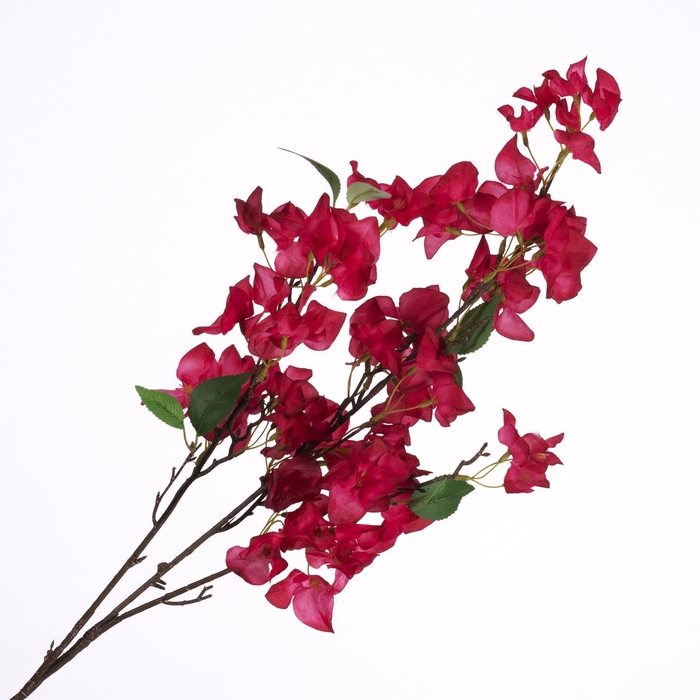 <h4>Bougainvillea Spray Beauty FL440279BEA</h4>