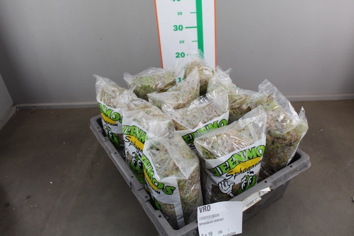 SPHAGNUM VERPAKT