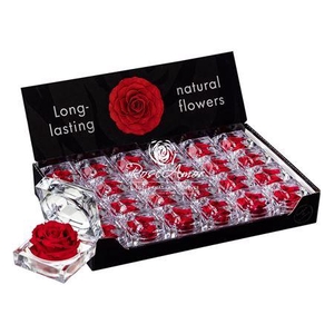 Display Jewel Red02